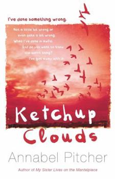 Hardcover Ketchup Clouds Book