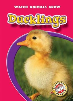 Ducklings - Book  of the Watch Animals Grow