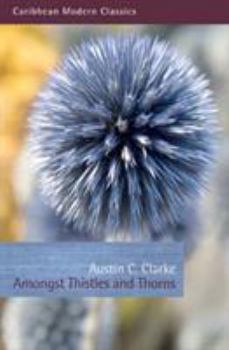 Paperback Amongst Thistles and Thorns Book