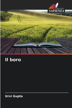 Paperback Il boro [Italian] Book