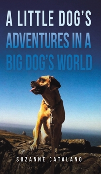 A Little Dog’s Adventures in a Big Dog’s World
