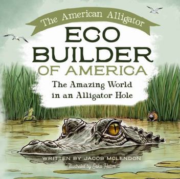 Eco Builder of America: The Amazing World in an Alligator Hole