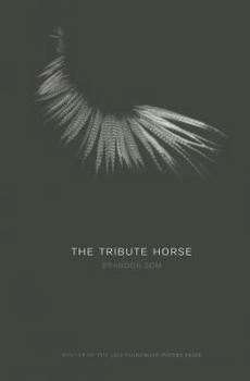 Paperback The Tribute Horse Book