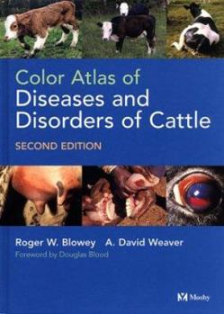 Hardcover Color Atlas of Diseases and Disorders of Cattle Book