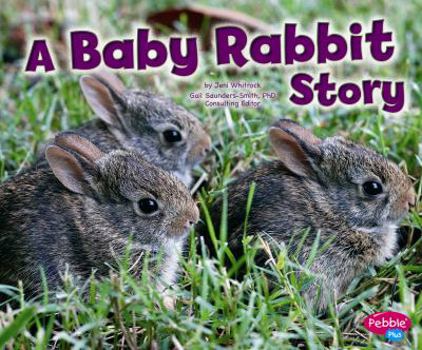 Hardcover A Baby Rabbit Story Book