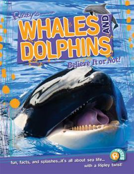 Hardcover Ripley Twists: Whales & Dolphins Book