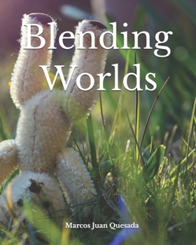 Blending Worlds