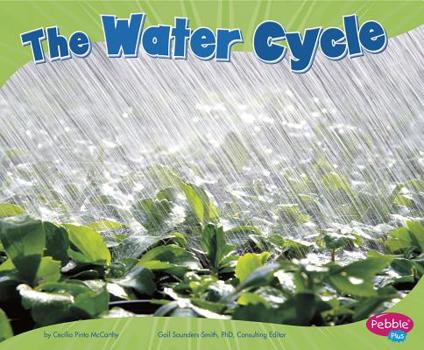 Paperback The Water Cycle Book