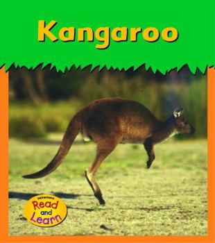 Paperback Kangaroo (Zoo Animals) Book