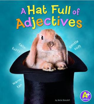 Library Binding A Hat Full of Adjectives Book