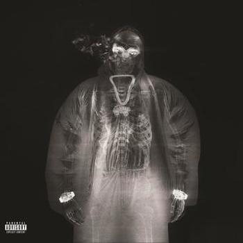 Vinyl Afterlyfe  Black Ice 2 Lp Book