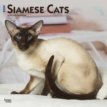 Calendar Siamese Cats 2024 Square Book