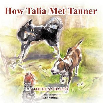 Paperback How Talia Met Tanner Book
