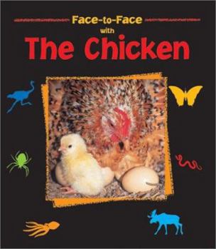 Hardcover The Chicken Book