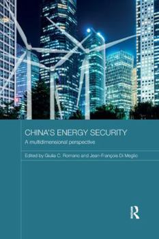 Paperback China's Energy Security: A Multidimensional Perspective Book