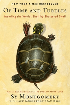 Hardcover Of Time and Turtles: Mending the World, Shell by Shattered Shell Book