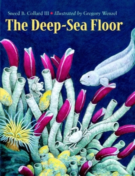 Paperback The Deep-Sea Floor Book