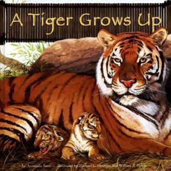 Hardcover A Tiger Grows Up Book