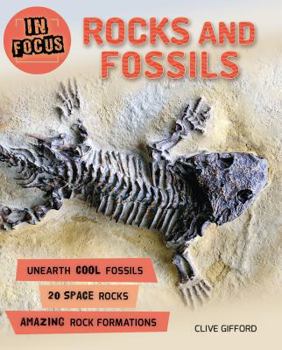 In Focus: Rocks and Fossils - Book  of the In Focus