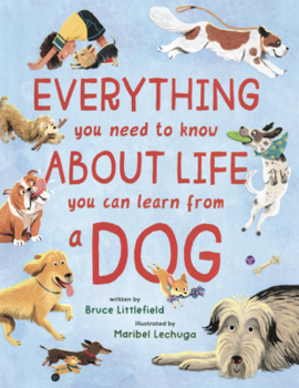 Everything You Need to Know about Life You Can Learn from a Dog