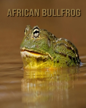 African Bullfrog: Children's Books --- Beautiful Pictures & Interesting Facts Children Book About African Bullfrog