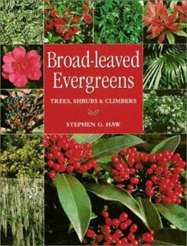 Paperback Broad-Leaved Evergreens: Trees, Shrubs & Climbers Book