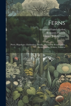 Paperback Ferns: Pteris, Hypolepis, Cheilanthes, Doodia, Blechnum, Woodwardia, Stenochlaena, Brainea, Lomaria Book