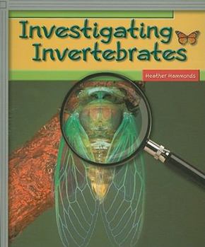 Paperback Rigby Flying Colors: Individual Student Edition Silver Investigating Invertebrates Book