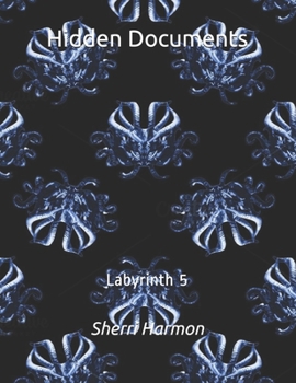 Paperback Hidden Documents: Labyrinth 5 Book