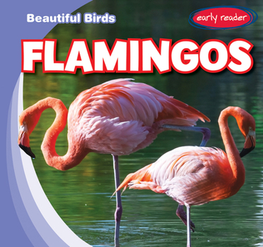 Paperback Flamingos Book