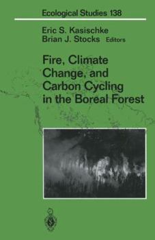 Paperback Fire, Climate Change, and Carbon Cycling in the Boreal Forest Book