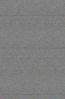 Paperback Essie in Progress Book