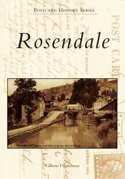 Paperback Rosendale Book