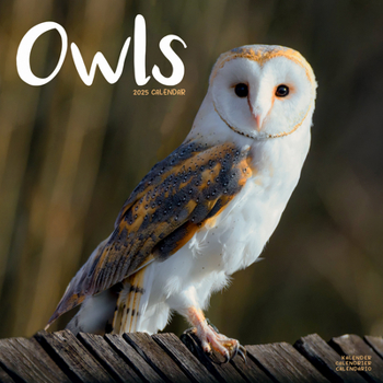 Calendar 2025 Owls Wall Calendar Book