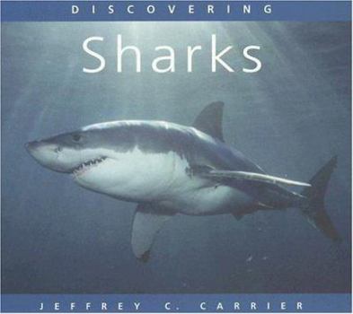 Paperback Sharks (Discovering) Book