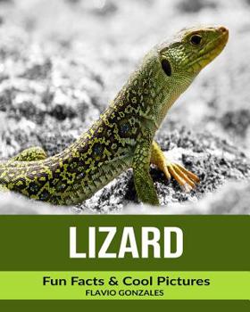 Paperback Lizard: Fun Facts & Cool Pictures Book
