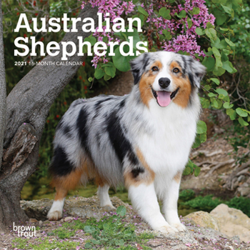 Calendar Australian Shepherds 2021 Mini 7x7 Book