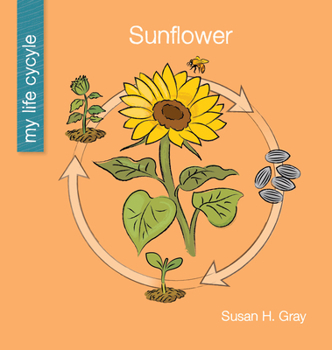 Paperback Sunflower Book