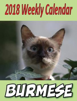 Paperback 2018 Weekly Calendar Burmese: Cat Jokes, Puns, & Mazes, Personal Notes, To Do List and More... Book