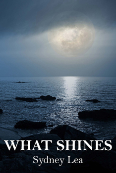 Paperback What Shines Book