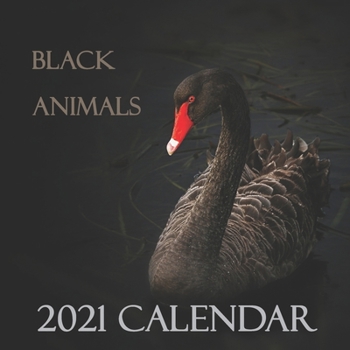 Paperback Black Animals 2021 Calendar: 2021 Wall Calendar 12 Months (8.5x8.5 inch) Book