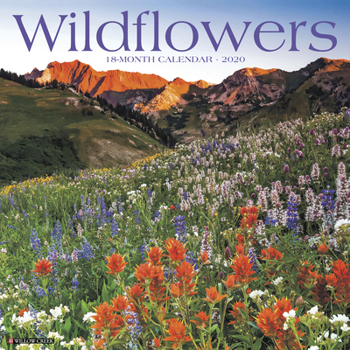 Calendar Wildflowers 2020 Wall Calendar Book