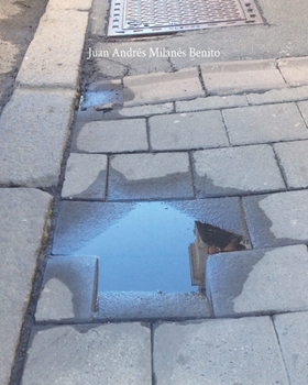 Paperback Juan Andrés Milanés Benito Book