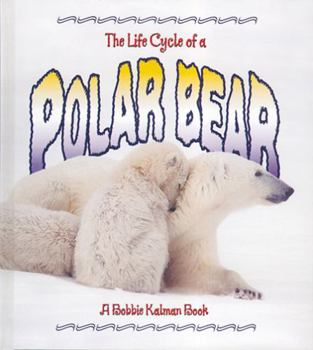 Paperback The Life Cycle of a Polar Bear Book