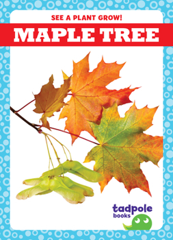 Library Binding Maple Tree Book