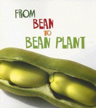 Library Binding From Bean to Bean Plant Book