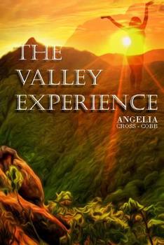 Paperback The Valley Experience Book