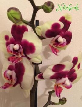 Paperback Notebook: 100 Page Wide Ruled Paper, Large Size 7.44x9.69 for All Your Writing and Notes. Glossy Cover to Protect Your Book. Book