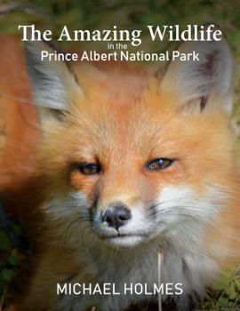 Hardcover The Amazing Wildlife in the Prince Albert National Park Book