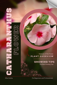 Catharanthus: Flower overview and Growing Tips